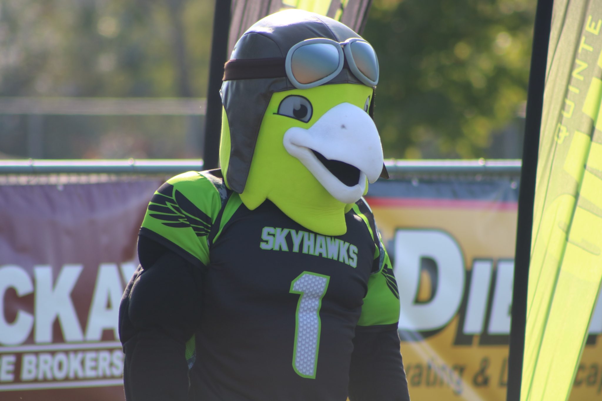 Quinte Skyhawks flying into Canadian Junior Football League Quinte News